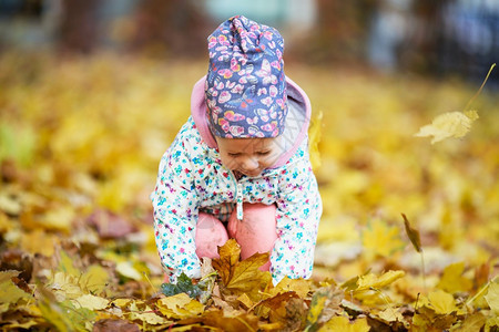 秋天在公园玩落叶的小孩图片