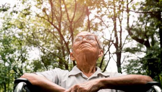 失能老人愉快春天退休坐在轮椅上快乐的老人在公园享受自然背景