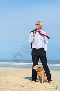 生意人和狗在沙滩上图片