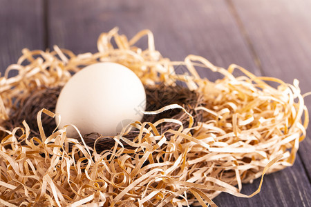 新鲜的饮食白蛋在老木本底的巢上分支机构图片