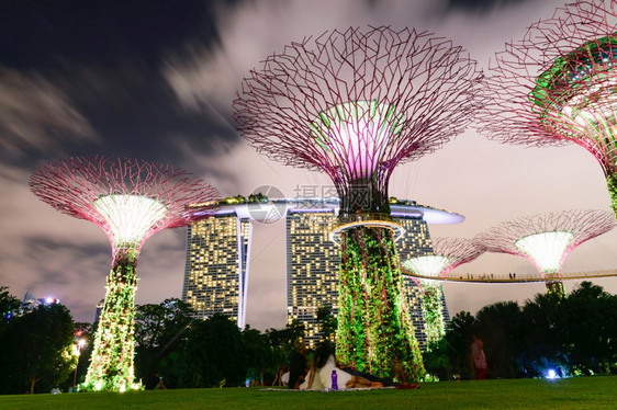 建造美丽的新加坡中央商务的视图建筑物和地标棕榈图片