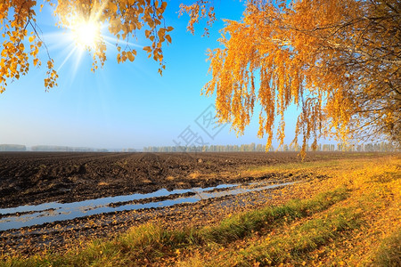 秋季农村景观图片