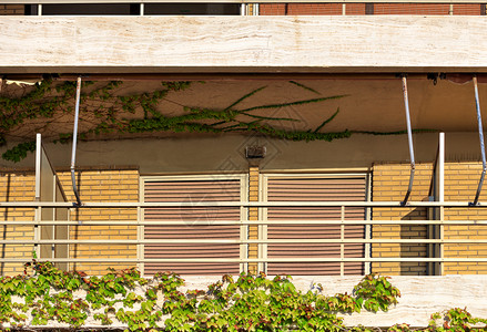 在阳光明媚的一天窗户关上金属百叶窗灯光照亮的画面圆葡萄在屋外阳台的木伞上攀爬而野葡萄则在房子外阳台上的木板攀爬这幅画像是仿冒空间图片