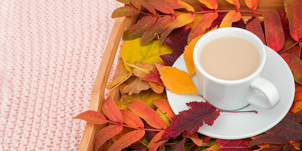 秋冬一杯咖啡和落叶图片