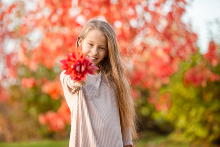 展示红叶花束的可爱小女孩图片