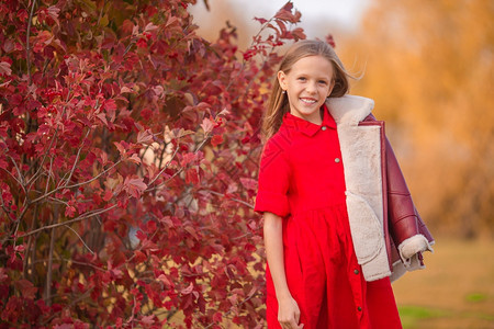 人们秋天在公园户外露台用红叶的可爱小女孩肖像秋天带着黄色叶子花束的可爱小女孩肖像笑自然图片