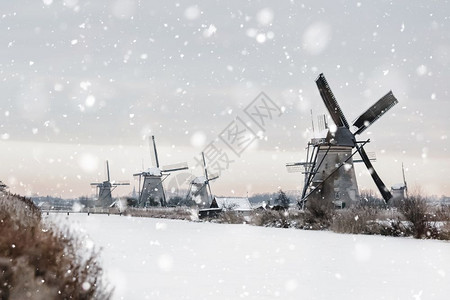 运河荷兰Kinderdijk的雪寒冬季风景观农村老风车停在荷兰奇幻背景中以自然光亮显示的单色中调小孩堤防冷冻图片