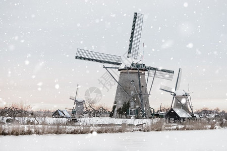 圣诞节荷兰Kinderdijk的雪寒冬季风景观农村老风车停在荷兰奇幻背景中以自然光亮显示的单色中调圩田乡村的图片