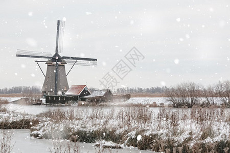 寒冷的白色冻荷兰Kinderdijk的雪寒冬季风景观农村老风车停在荷兰奇幻背景中以自然光亮显示的单色中调图片