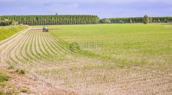 收成场地拖拉机是一种对玉米的杀虫剂处理方法农药图片