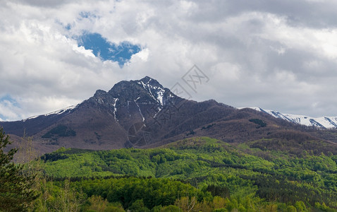 爬坡道丰富多彩的森林大山峰和绿之春多彩的风景观图片