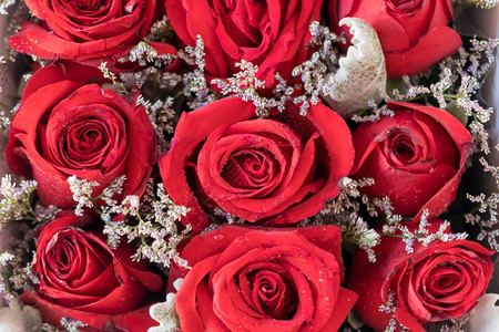 白色背景的方形礼盒中浪漫红玫瑰花婚礼喷图片