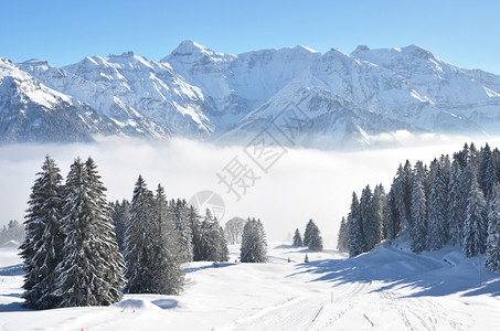 冬季雪景风光图片