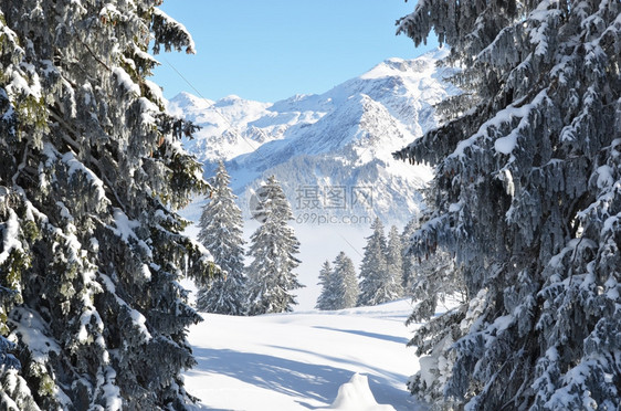 冬季雪景风光图片