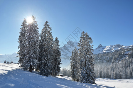 冬季雪景风光图片