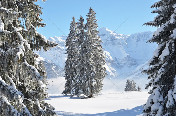 冬季雪景风光图片