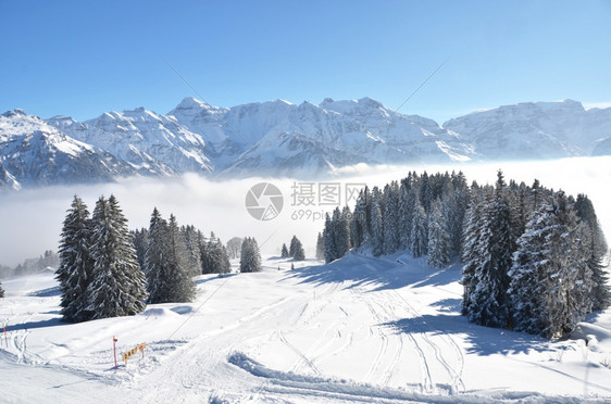 冬季雪景风光图片