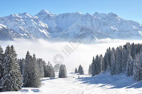 冬季雪景风光图片