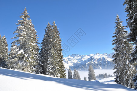 冬季雪景风光图片