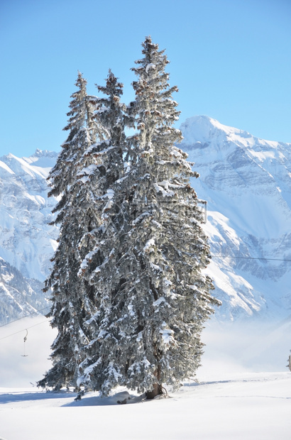 冬季雪景风光图片