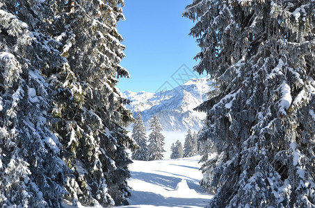 冬季雪景风光图片