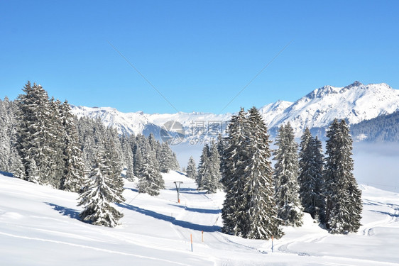 冬季雪景风光图片