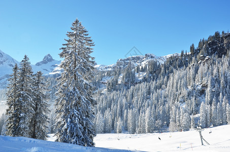 冬季雪景风光图片