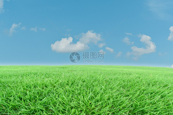 生长地球绿草和蓝天空背景地貌观美丽图片