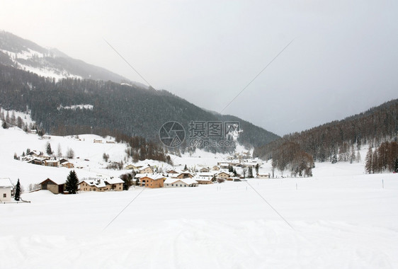树瑞士西部一个雪覆盖的山村位于瑞士西部高山白雪皑图片