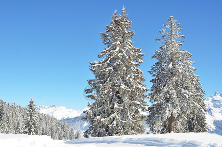 冬季雪景风光图片