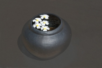 南部投降白色美丽的弗朗吉帕尼花朵漂浮在斯里兰卡亚洲深棕色抽象背质的水轮中和平图片