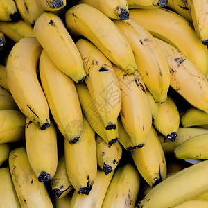 与香蕉分辨率和高品质美丽图片最佳观光安排以及香蕉高品质美容照片概念的顶端观光安排并与香蕉高品质优美照片概念牛油果营养小吃图片