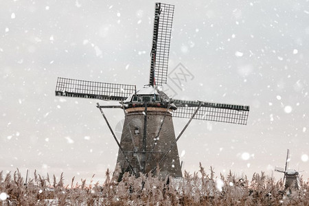 传统的荷兰语天气Kinderdijk的雪寒冬季风景观农村老风车停在荷兰奇幻背景中以自然光亮显示的单色中调图片