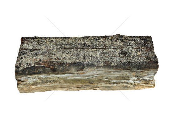 被干腐烂的房子木块孤立在白色背景上雪普拉克莱曼斯辛梅鲁利乌自然菌经过图片