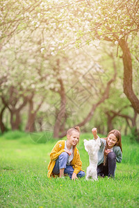 放松年轻的快乐小女孩在大自然中养狗孩子们在公园里和小狗玩耍图片