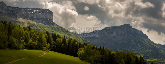 水平的绿草地与通往远山之路的青草原在阿尔卑斯山脉有很多树木小路摄影图片