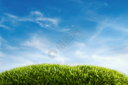 空白的院子全景蓝色天空和白云的绿草地自然风景背图片