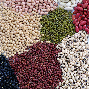白背景全豆收集越南农产品纤维食降低胆固醇预防癌症稳定血糖增强免疫系统使心脏健康农业豆子越南语图片