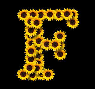 大写黑色字母背景_大写黑色字母摄影图片_大写黑色字母壁纸_摄图网