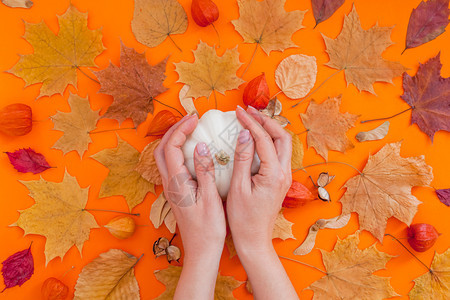 秋叶上手捧南瓜的双手图片