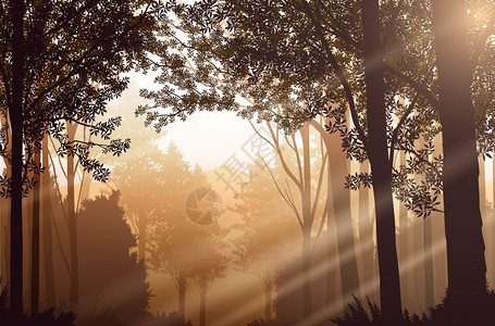 自然林绿山地平线树的亮光风景壁纸日出落和说明矢量样式图表背景公园秋天丰富多彩的图片