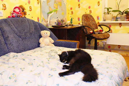 黑猫睡在孩子们的床上39s室睡觉美丽的好奇图片
