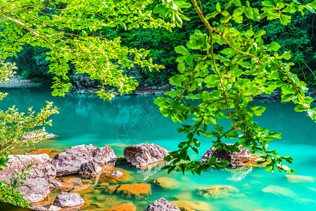 自然风景黑山森林中Tara河的绿松石和清澈水域Tara河谷图片