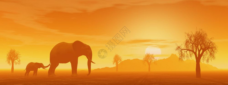 丰富多彩的拂晓景观小大象在热带草原上排着木冠和小象三维化身与日落前的芭目蛇同队图片