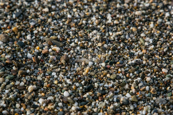 沙滩上的小石头图片