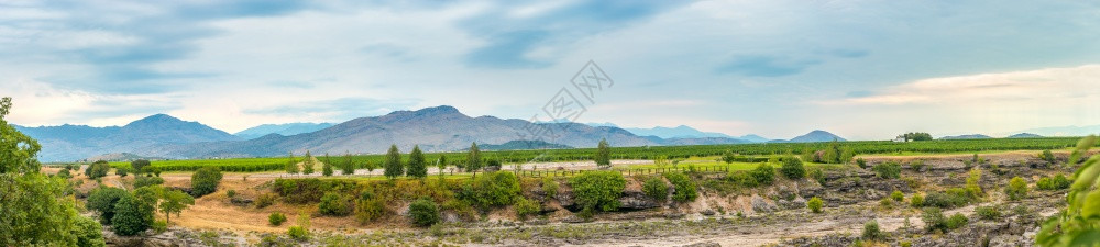 酒厂多山天空尼亚加拉陷落附近山丘中的黑葡萄园图片