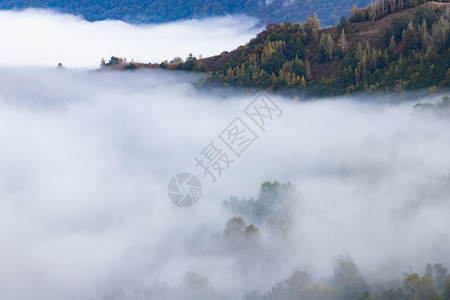 蓝色的薄雾美丽初秋自然的山上本底雾林早晨图片