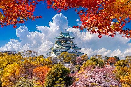日本大阪的秋季和城堡场景地标观图片