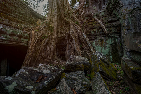 柬埔寨西姆庄园的PrasatTaprohm古老寺庙目的地宗教高棉图片