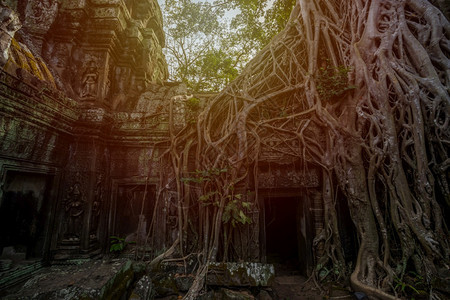 地点文化柬埔寨西姆庄园的PrasatTaprohm古老寺庙普罗姆图片